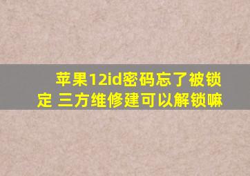 苹果12id密码忘了被锁定 三方维修建可以解锁嘛